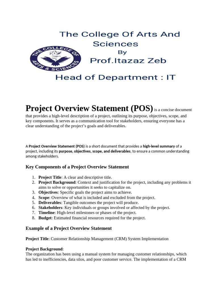 Project Overview Statement With Example (1) | PDF | Customer ...