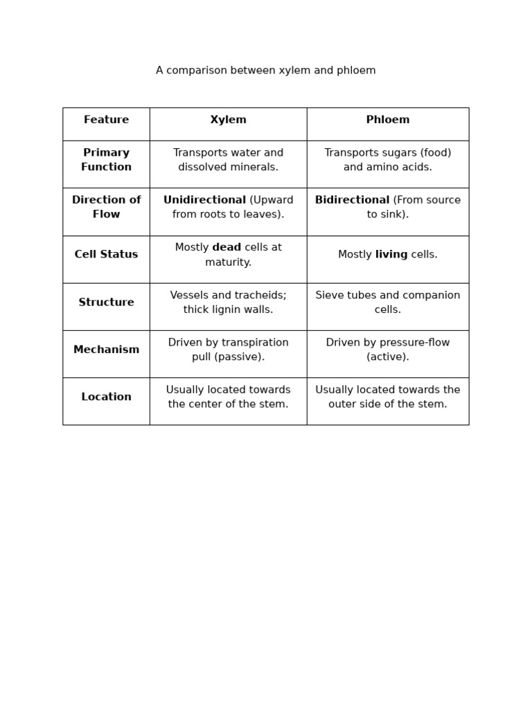 A Comparison Between Xylem and Phloem | PDF