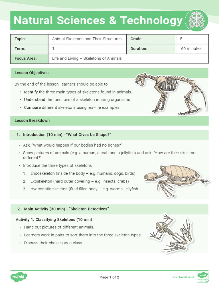 Grade 5 LESSON PLAN NS and Technology Term 1 Animal Skeletons | PDF ...