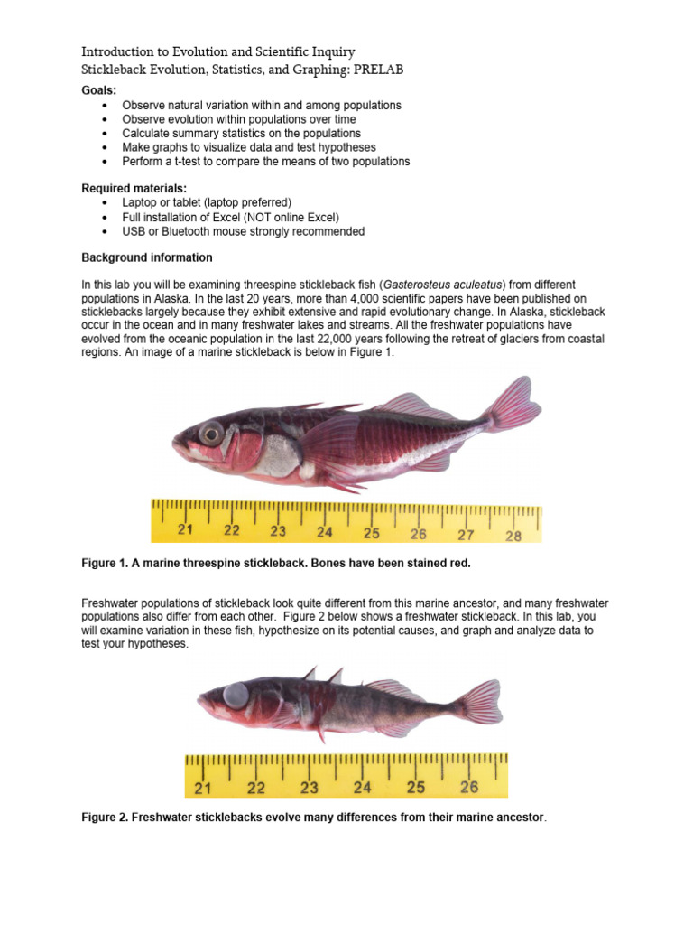 Stickleback Prelab | PDF