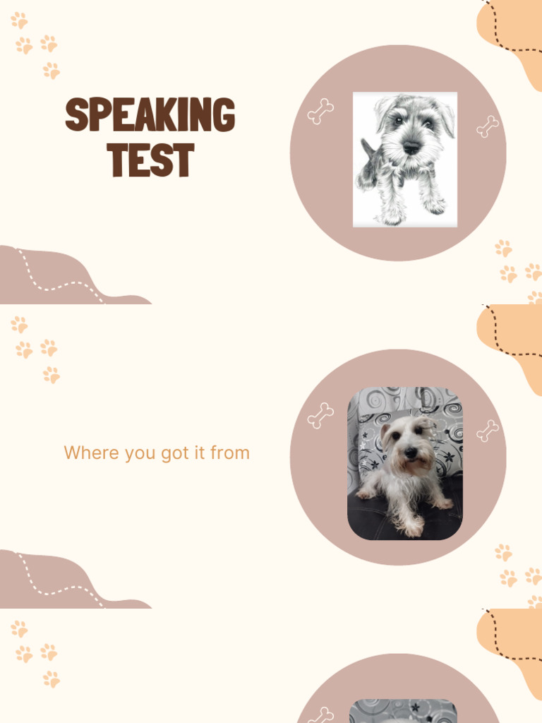 Speaking Test 1 | PDF