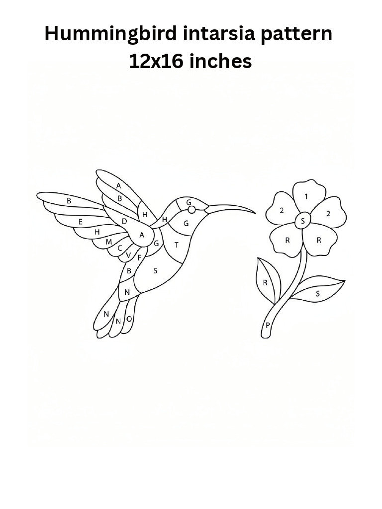 Hummingbirdintarsiapattern12x16inches 20260313 175630 0000 | PDF