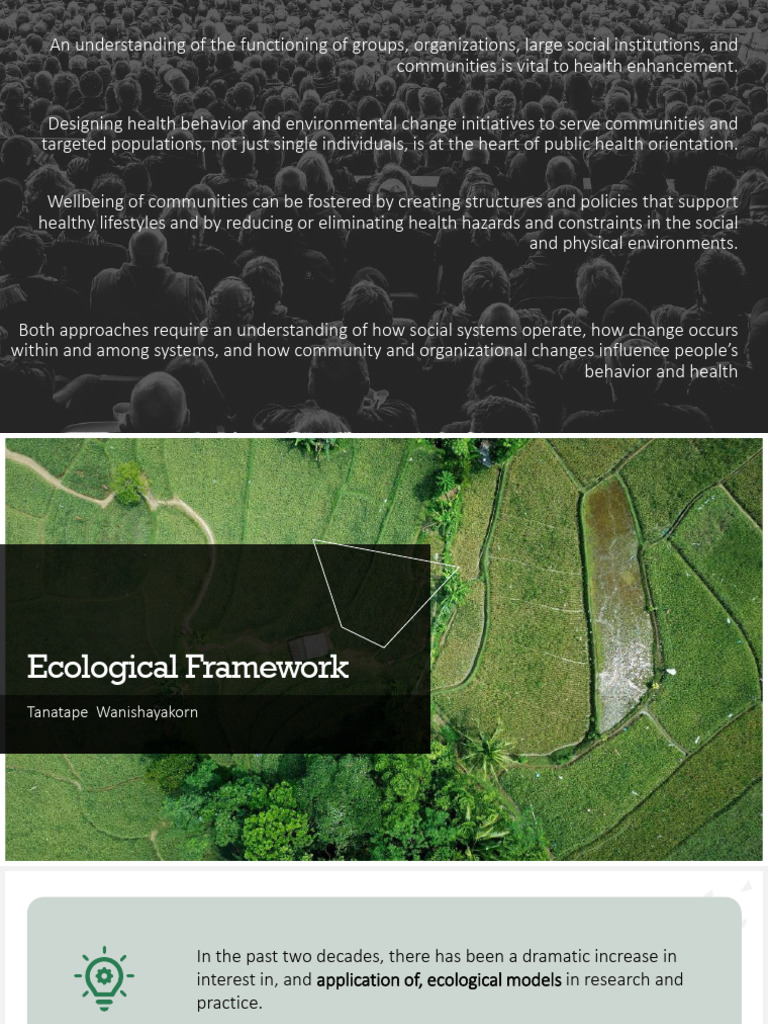 Ecological Framework 63 | PDF | Health Promotion | Ecology