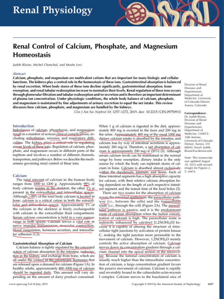 Renal physiology CJASN | PDF | Kidney | Vitamin D