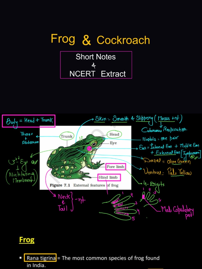 Md Sir (Frog and Cockroach) | PDF