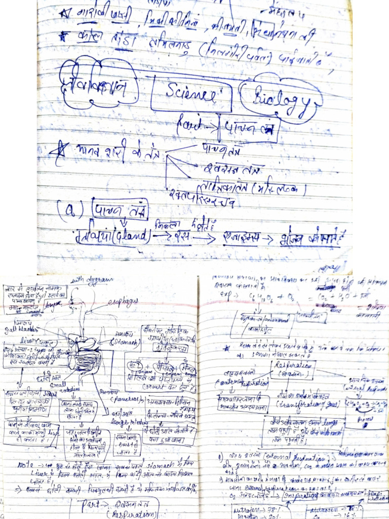 Science Notes | PDF