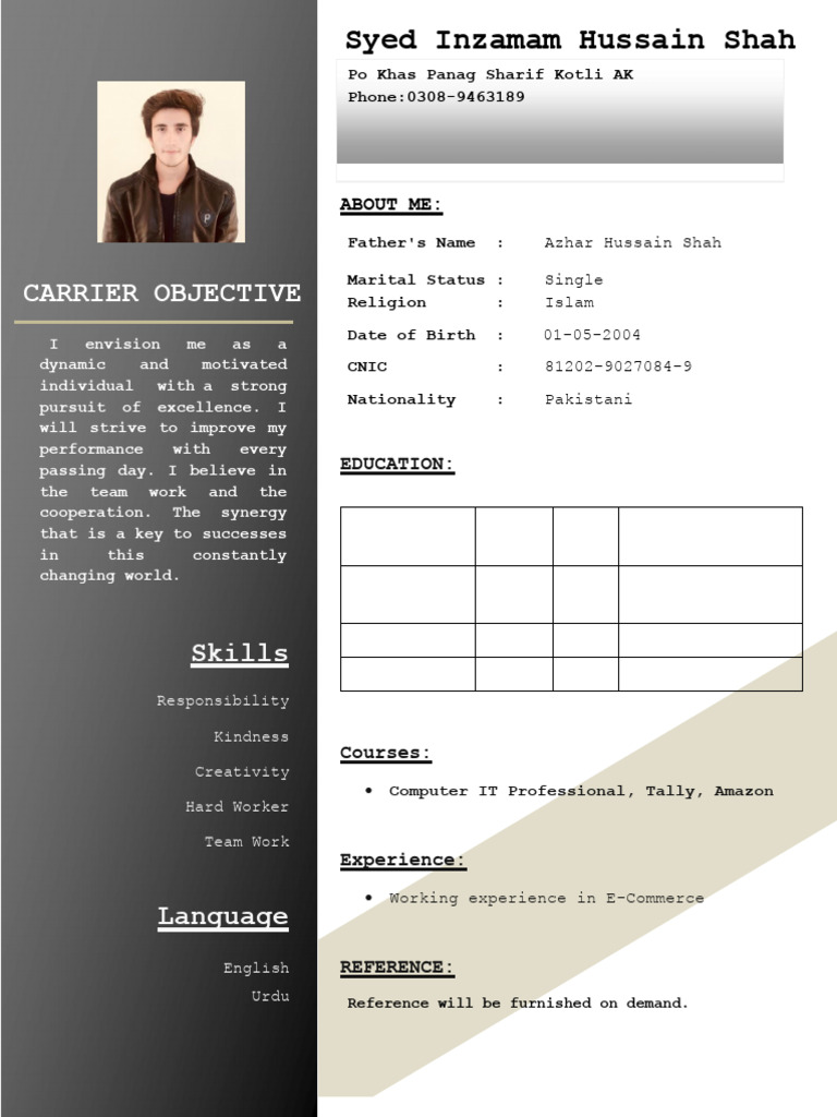 syed cv | PDF