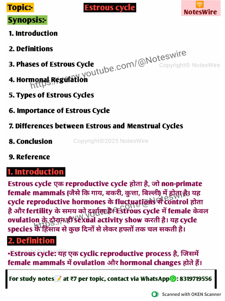 Estrous Cycle 1 | PDF