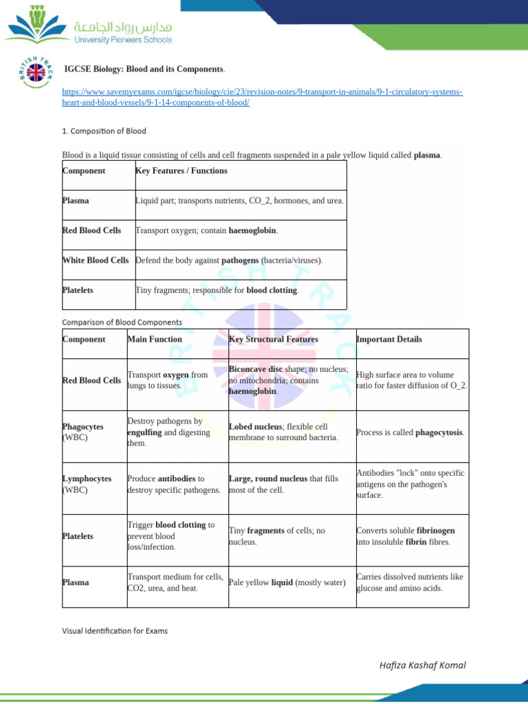 Blood and Its Components | PDF | Blood | Coagulation