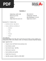 SQL Developer Features & Shortcuts Guide | PDF | Sql | Control Key