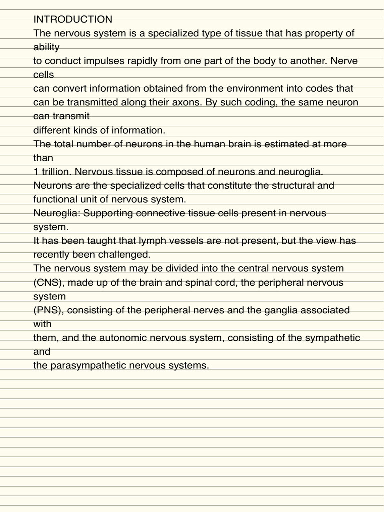 Nervous System | PDF | Axon | Nervous System
