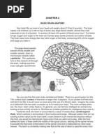 Braincurriculum CH 2