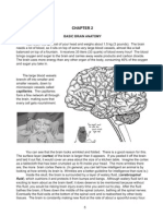 Braincurriculum CH 2