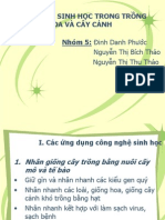 công nghệ thực vật 1