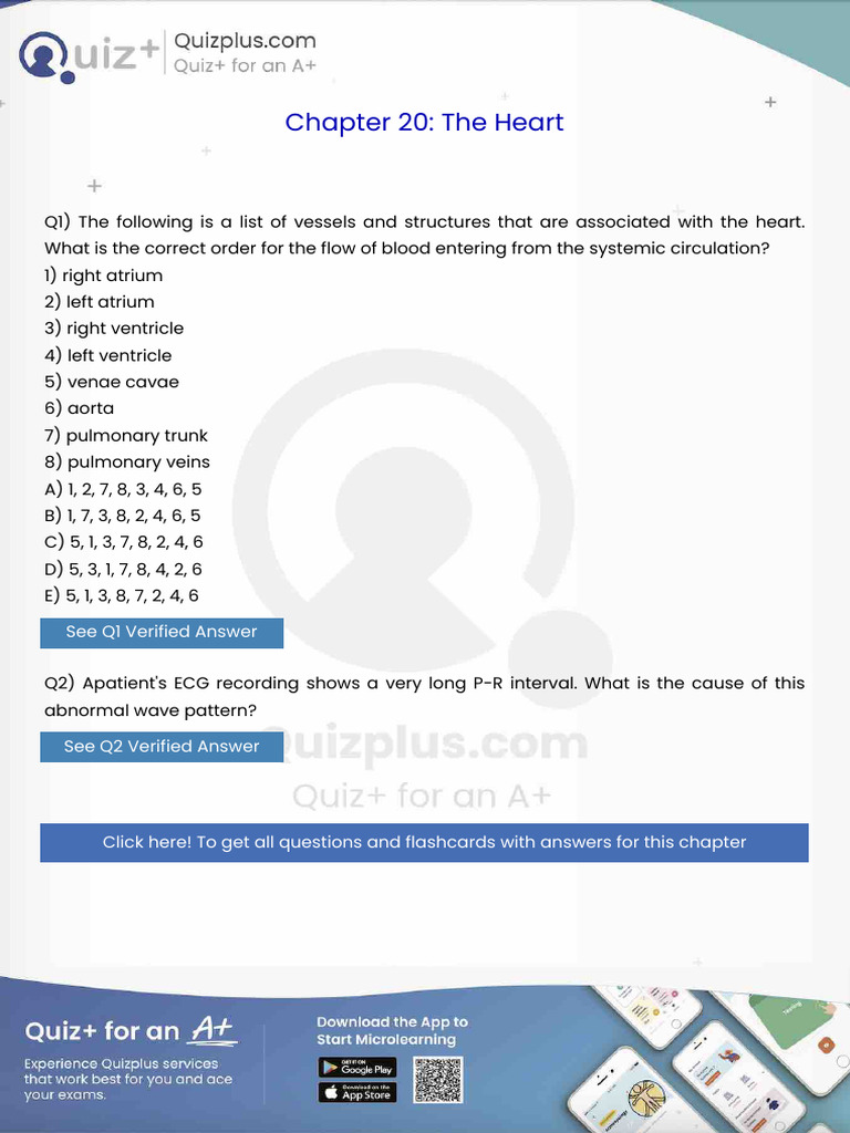 The Following is a List of Vessels and Structures That Are Associated ...