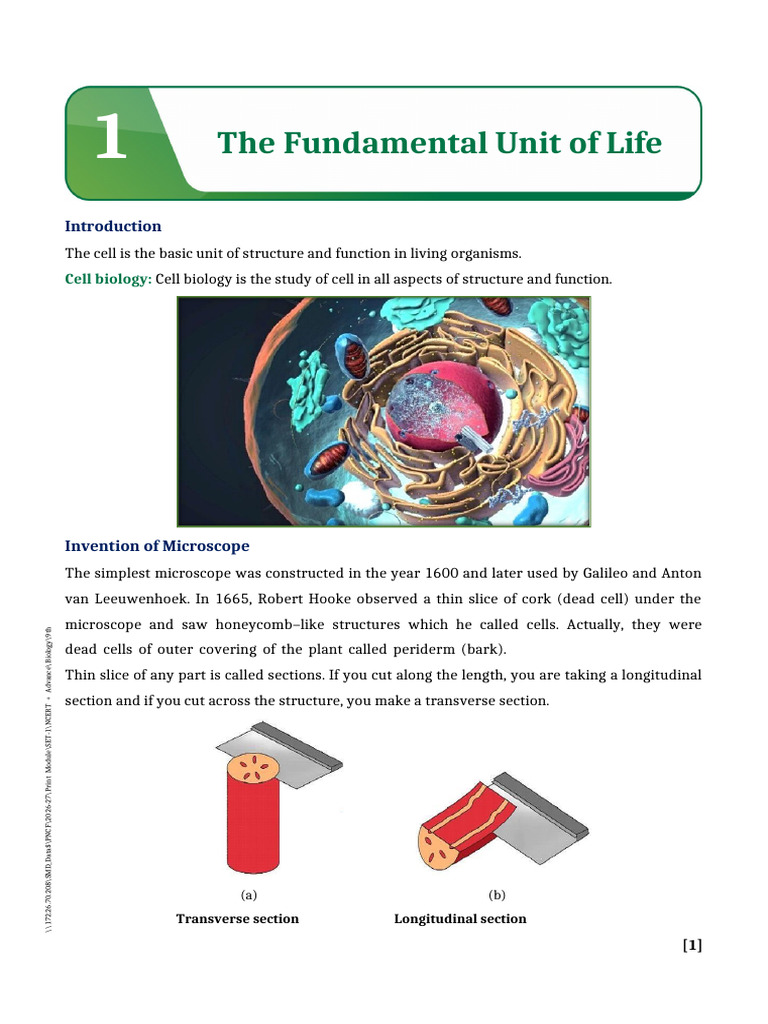 Fundamental Advanced Book | PDF | Endoplasmic Reticulum | Osmosis