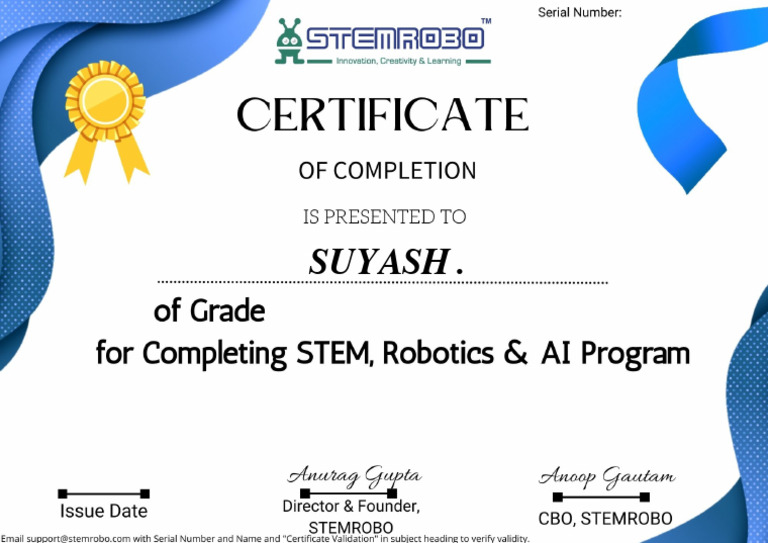 Course Completion Certificate | PDF