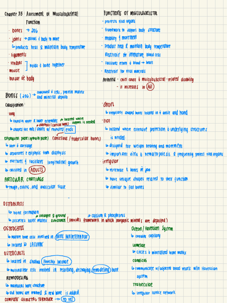 T3 NOTES_TEJADA, THERESA MARIE | PDF | Bone | Osteoblast