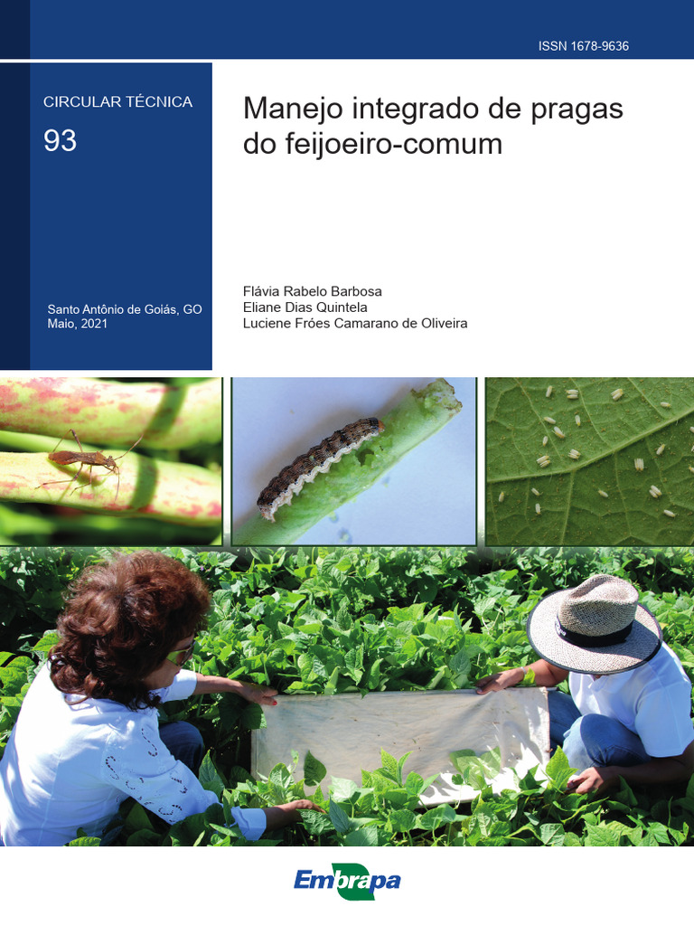 pragas-do-feij-o-pdf