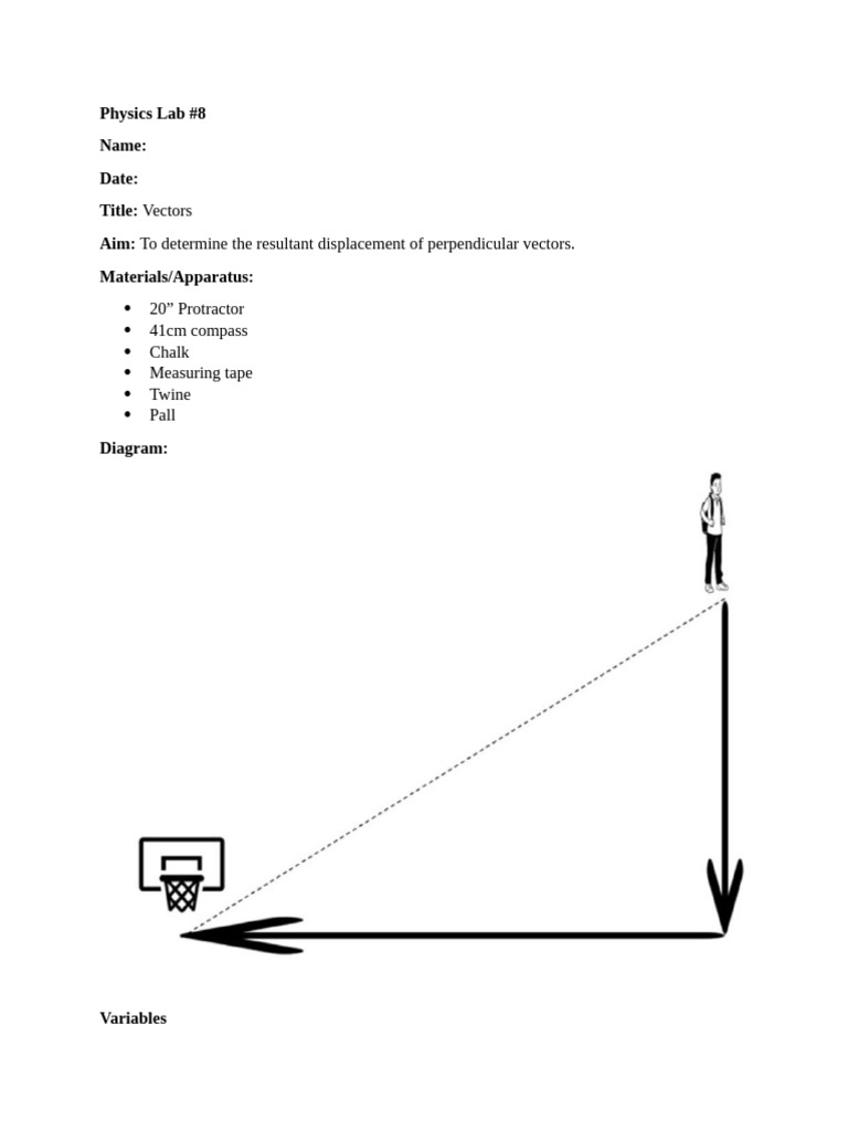 Vectors Lab Handout | PDF