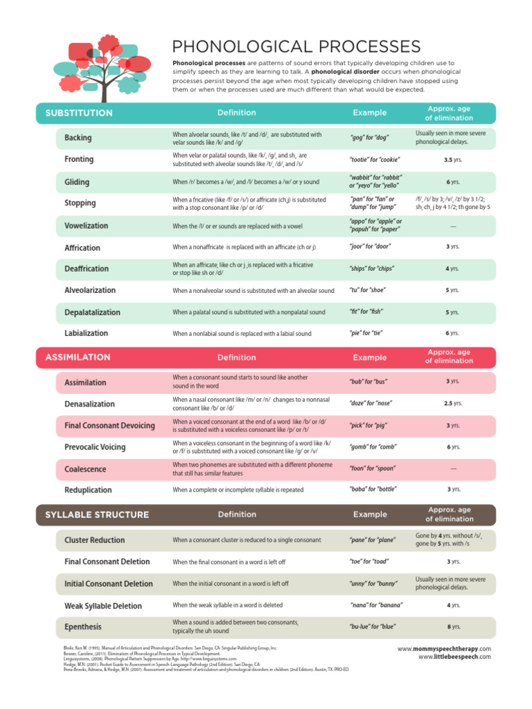 Phonological Processes | PDF | Consonant | Human Voice