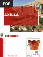 Axilla Anatomy: Boundaries and Contents | PDF | Limbs (Anatomy) | Human ...