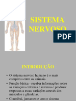 Sistema Nervoso