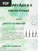 Fases del Ciclo de la Marcha en Fisioterapia | PDF