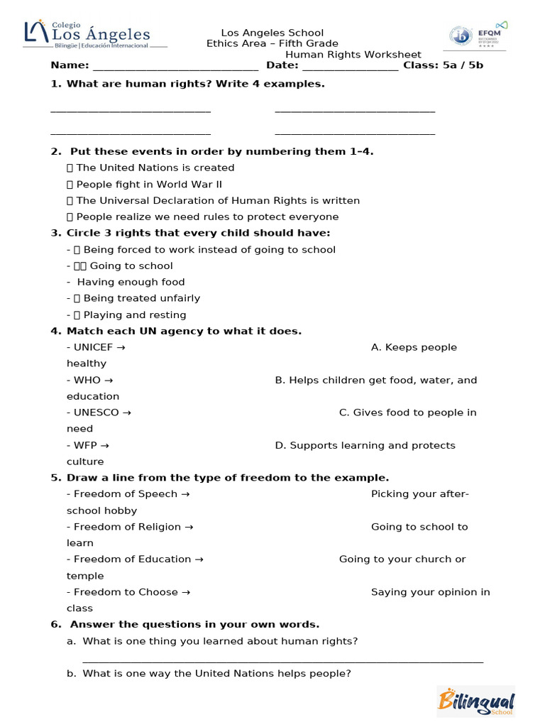 Human Rights Worksheet - Annex 3 | PDF