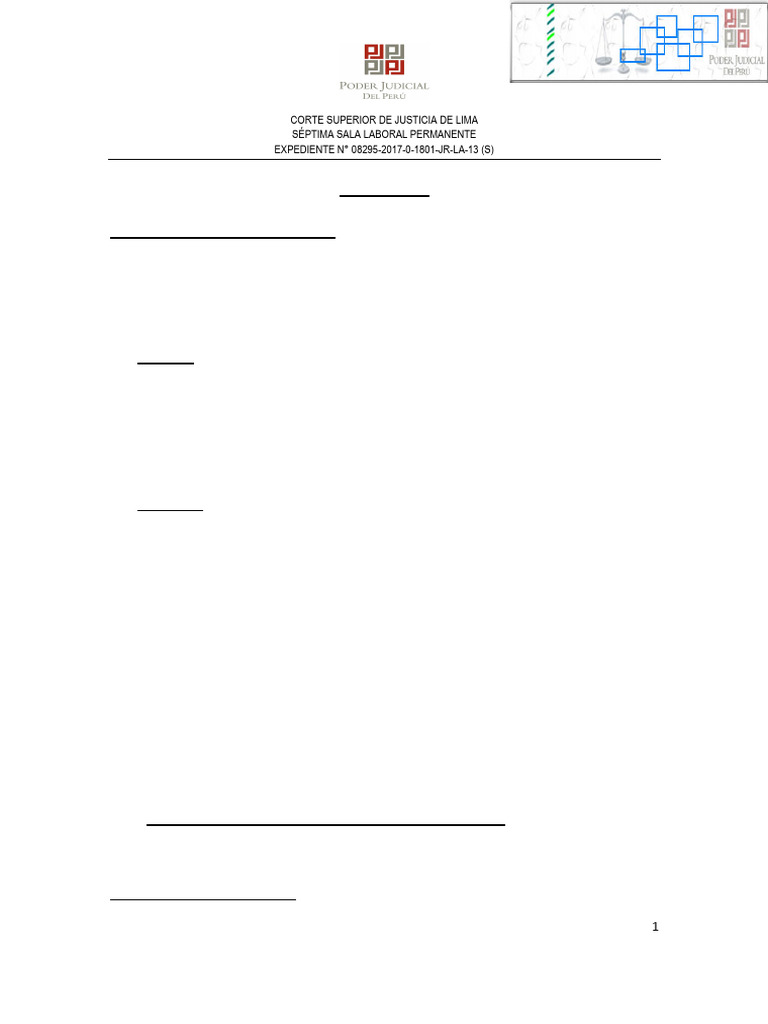Derecho a Ofrecer Medios de Prueba. Sentencia de Vista 8295-2017 | PDF