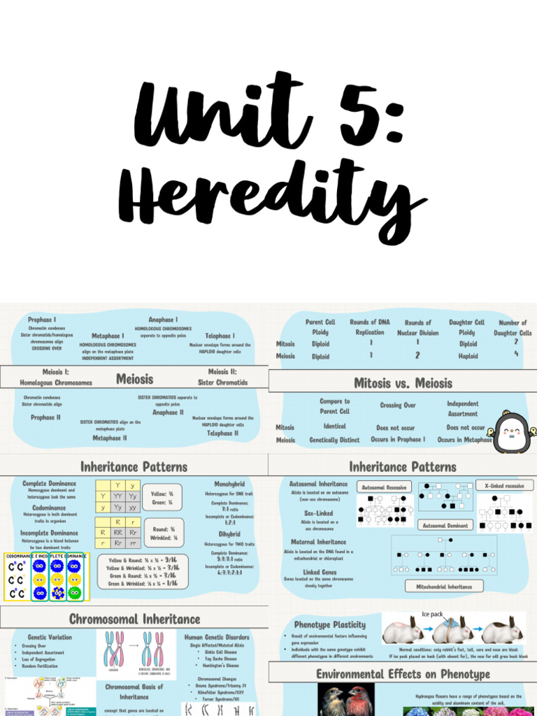 Unit 5 One-pagers AP Bio Penguins | PDF
