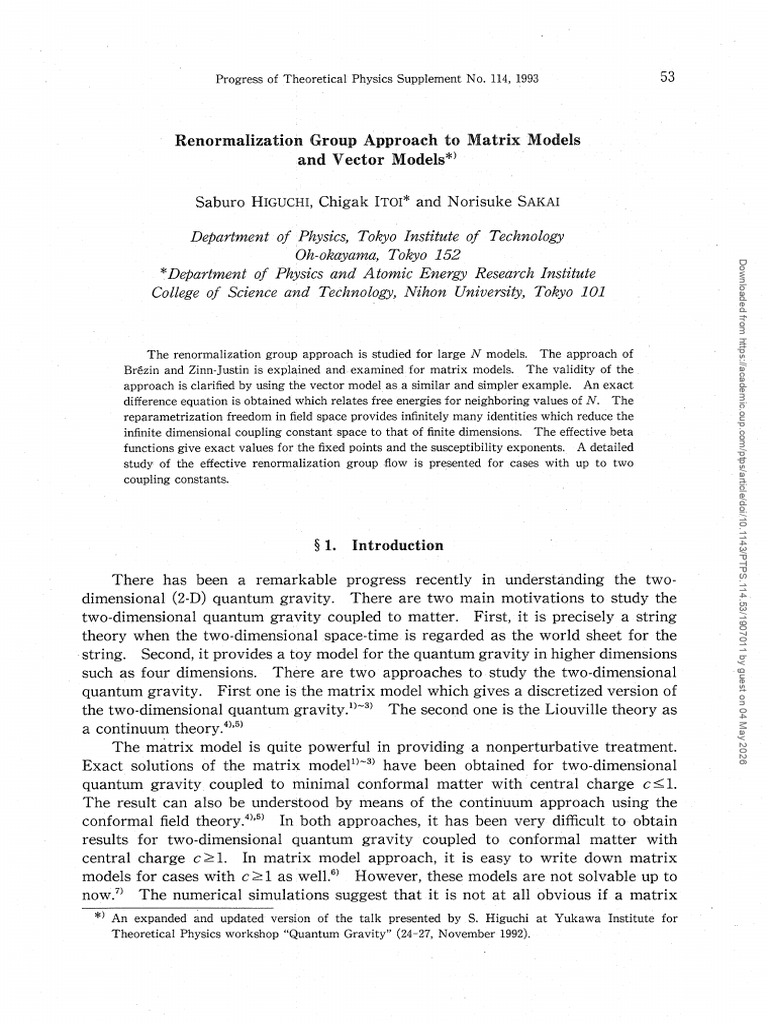 renoralizRION | PDF | String Theory | Quantum Gravity