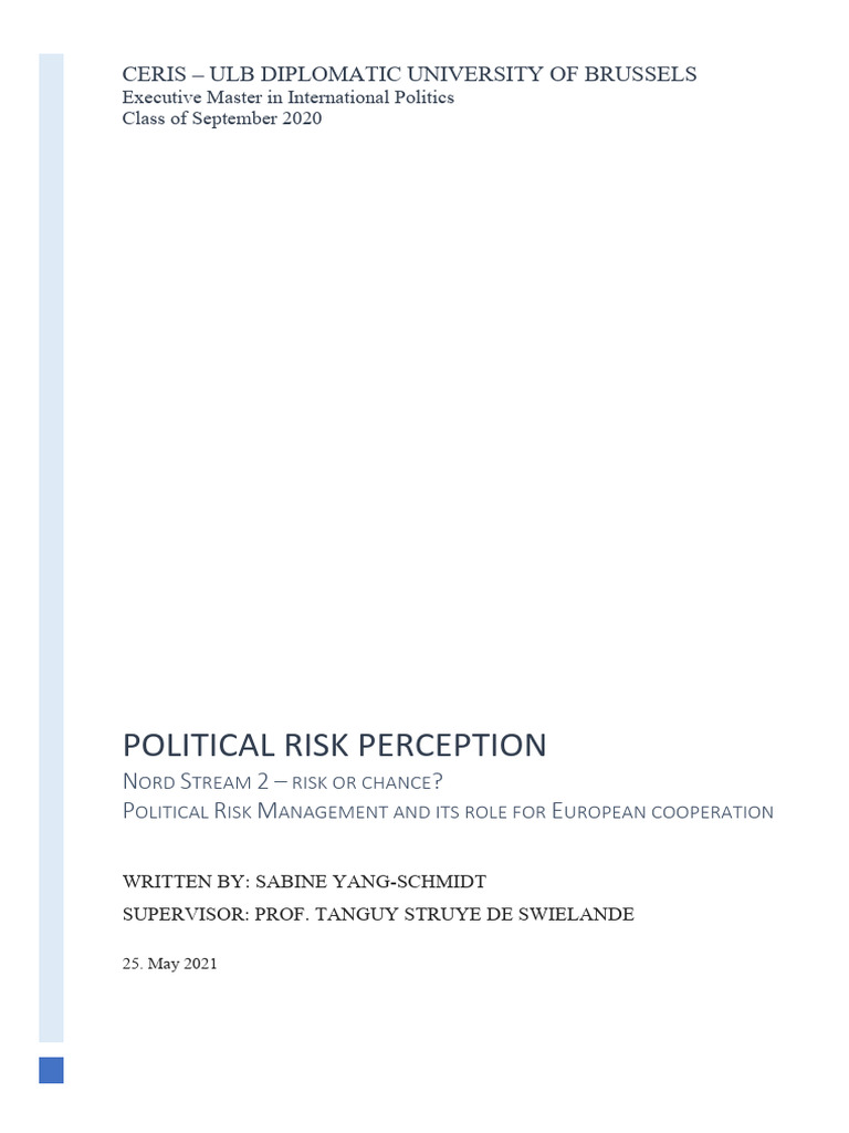 Thesis PoliticalRisks 2020 | PDF | Risk | Risk Management