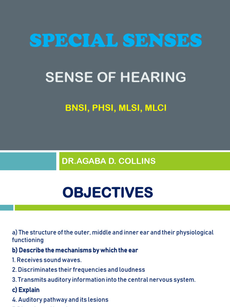 LECTURE5-SPECIAL SENSES-HEARING | PDF | Ear | Auditory System