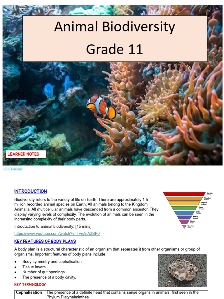 2026 Animal Biodiversity Learner Notes | PDF | Biology | Zoology