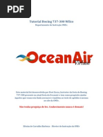 Manual Boeing 737-300 Oceanair