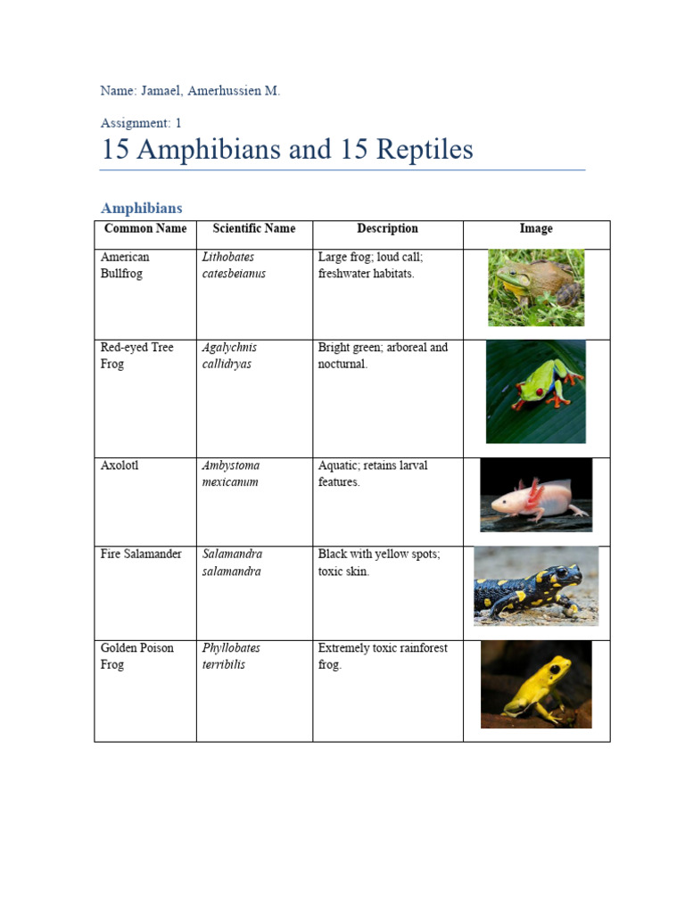 Amphibians and Reptiles | PDF | Amphibian | Frog