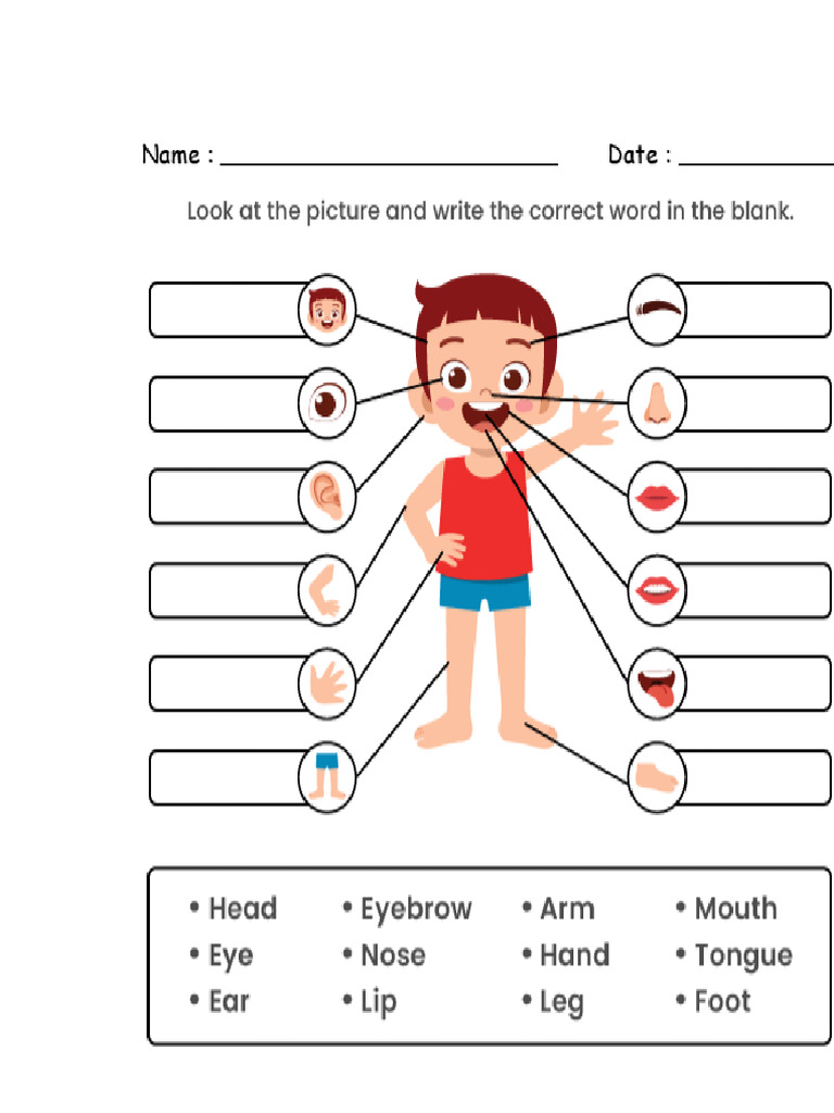 Body Parts Name | PDF