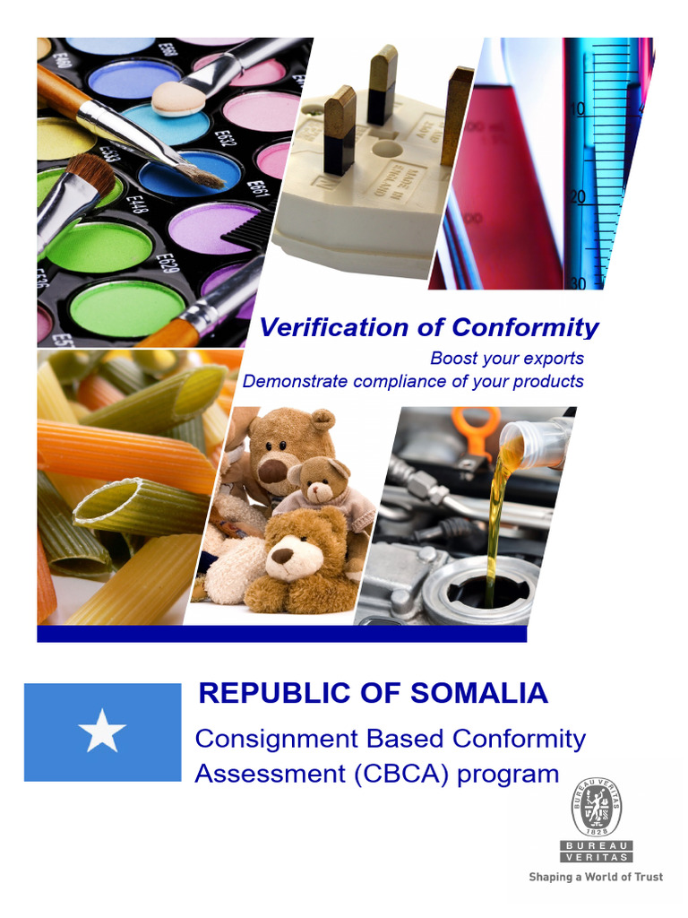 CBCA - Somalia - Flyer -E-1.1 | PDF | Regulatory Compliance | Business