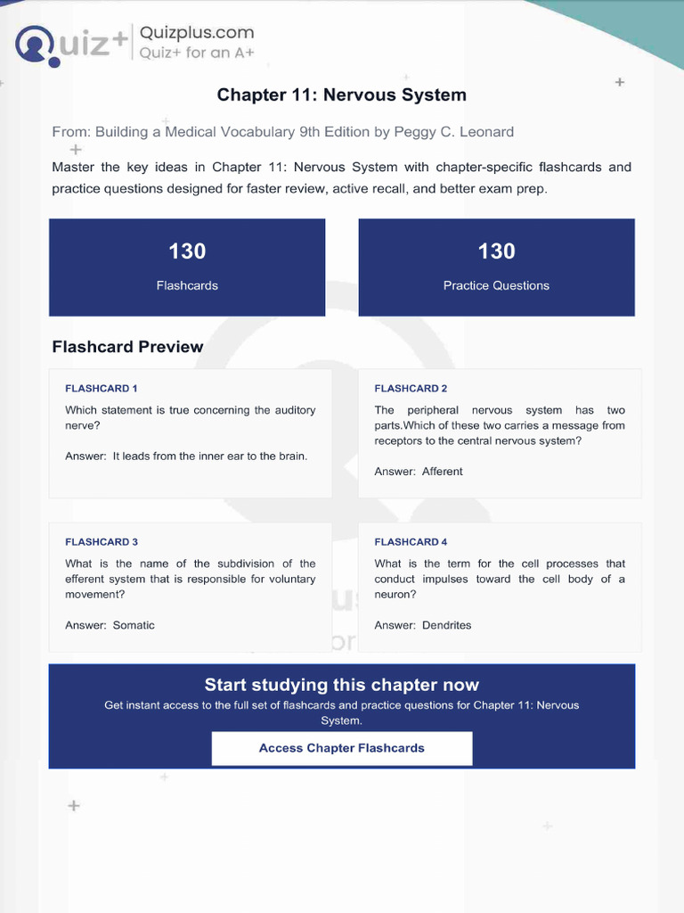 Flashcards for Chapter 11 Nervous System | PDF