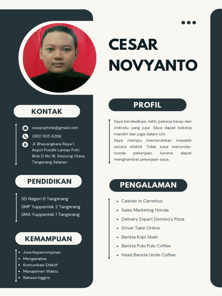 Cv Cesar Novyanto. | PDF