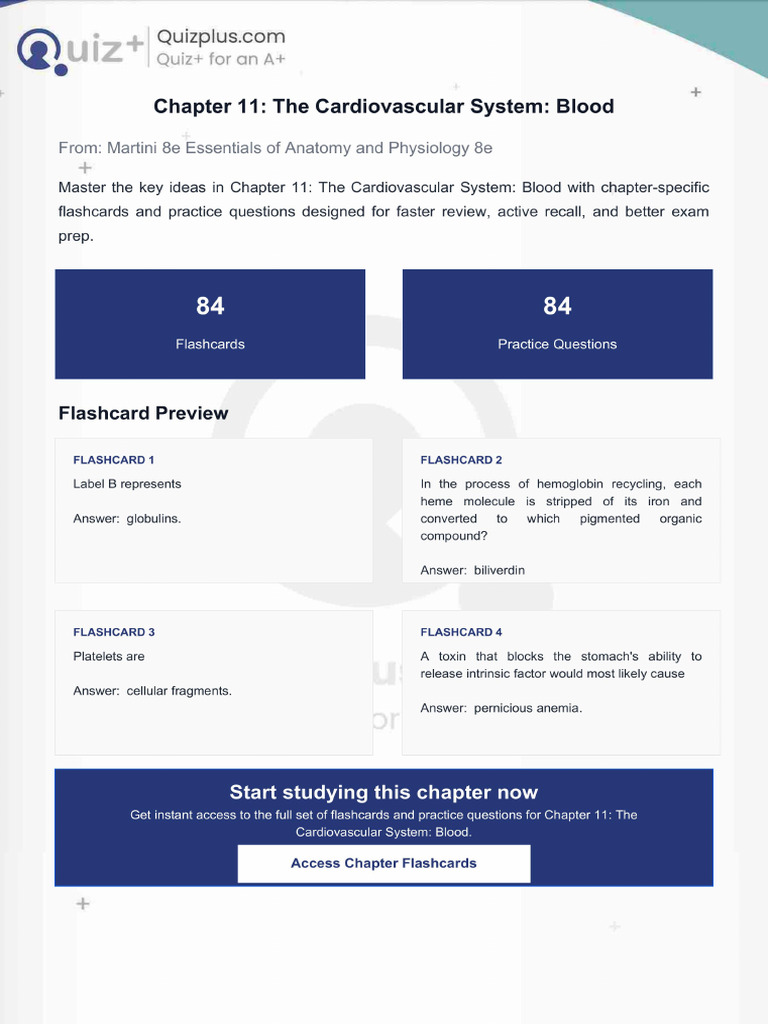 Flashcards for Chapter 11 the Cardiovascular System Blood | PDF