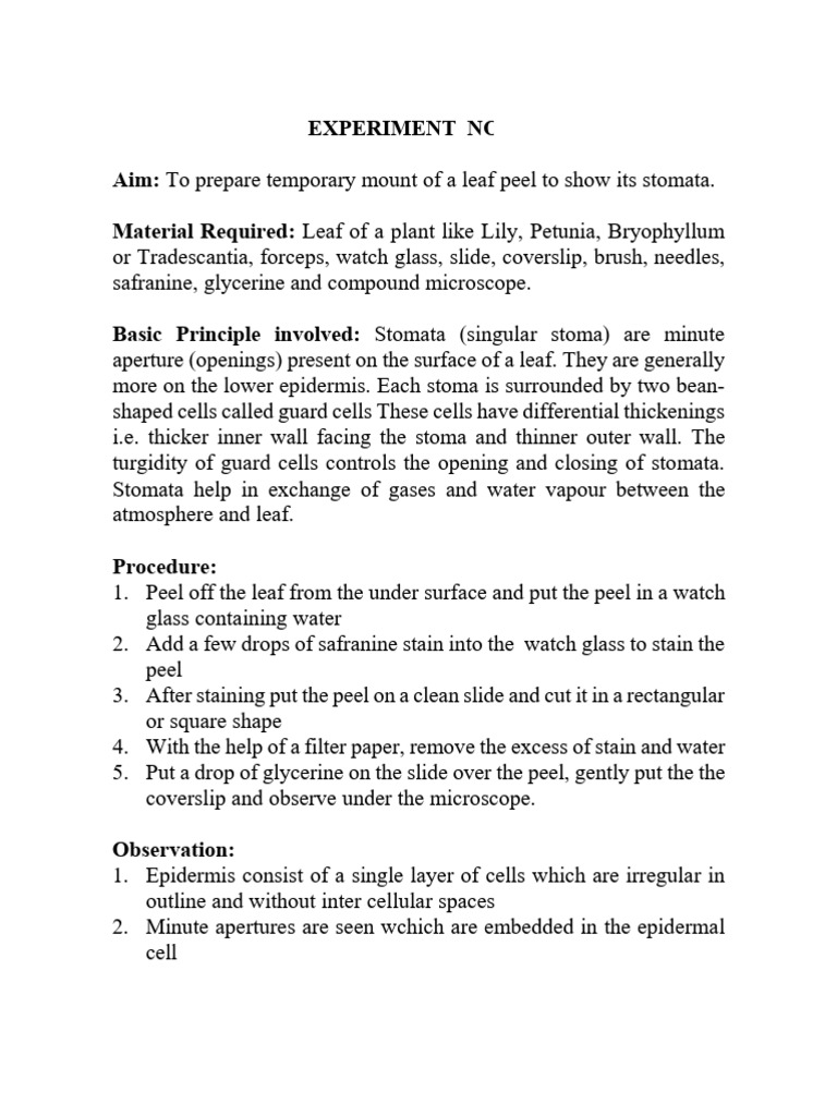 10th Biology Practical KCPS KURUD | PDF | Stoma | Sexual Reproduction