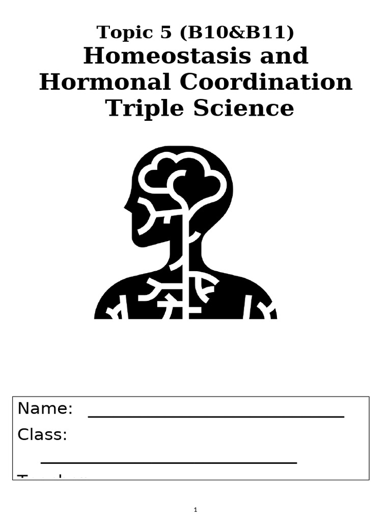 T5 Homeostasis Triple SLOP Booklet | PDF | Menstrual Cycle ...
