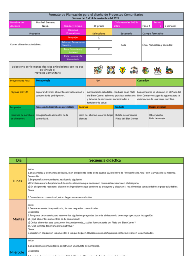 Formato de Planeación para El Diseño de Proyectos Comunitarios | PDF ...