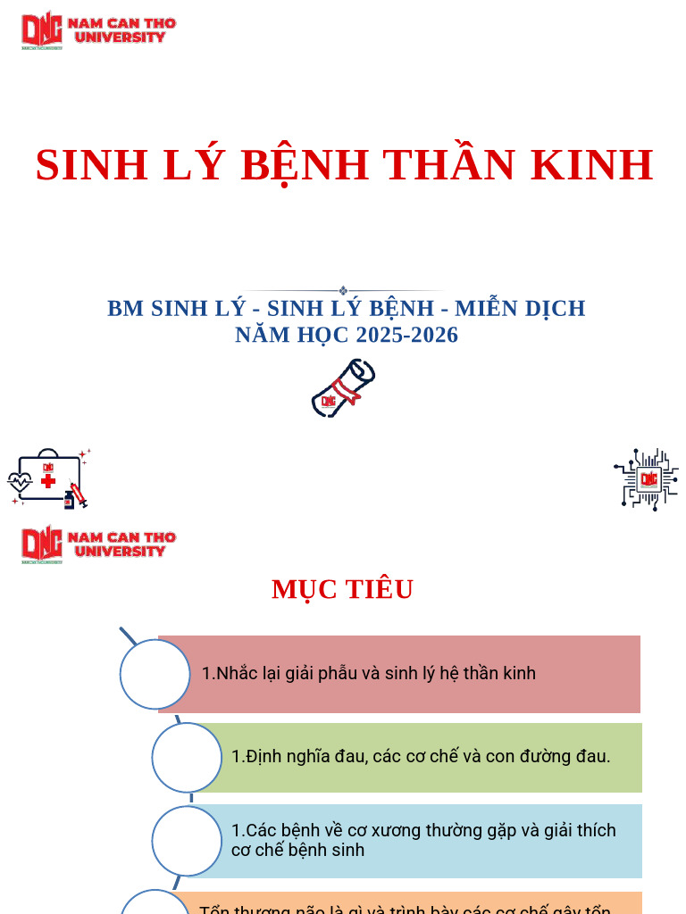 Slide - SLB Thần Kinh | PDF