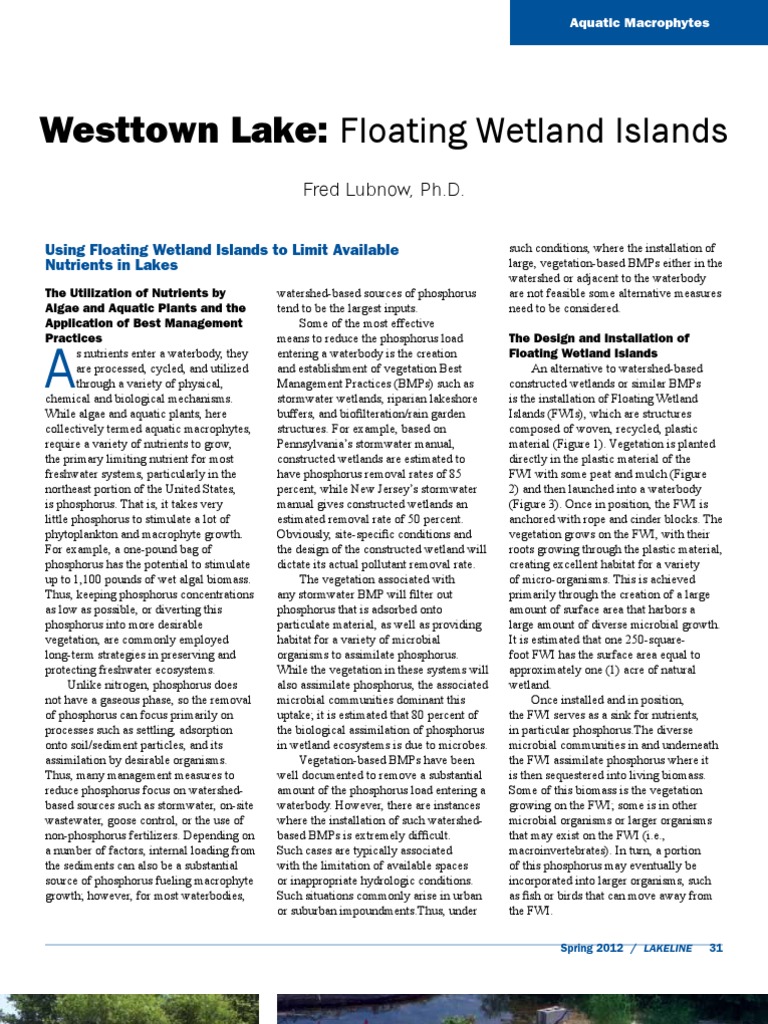 Westtown Lake Lubnow PDF Wetland Aquatic Ecosystem