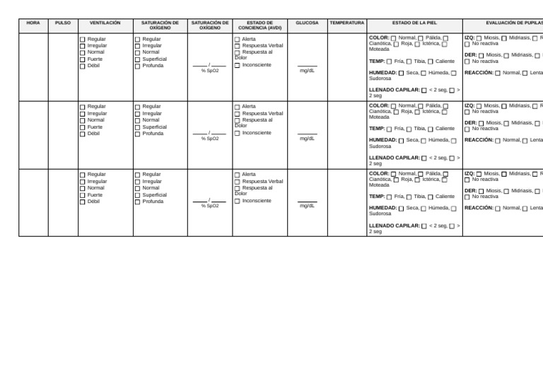 Formato Signos Vitales | PDF