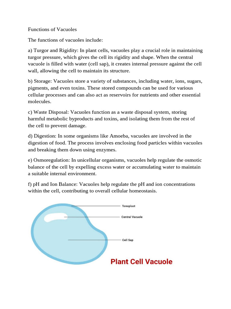 Notes of Biology Class 9 Cell | PDF | Cell (Biology) | Endoplasmic ...