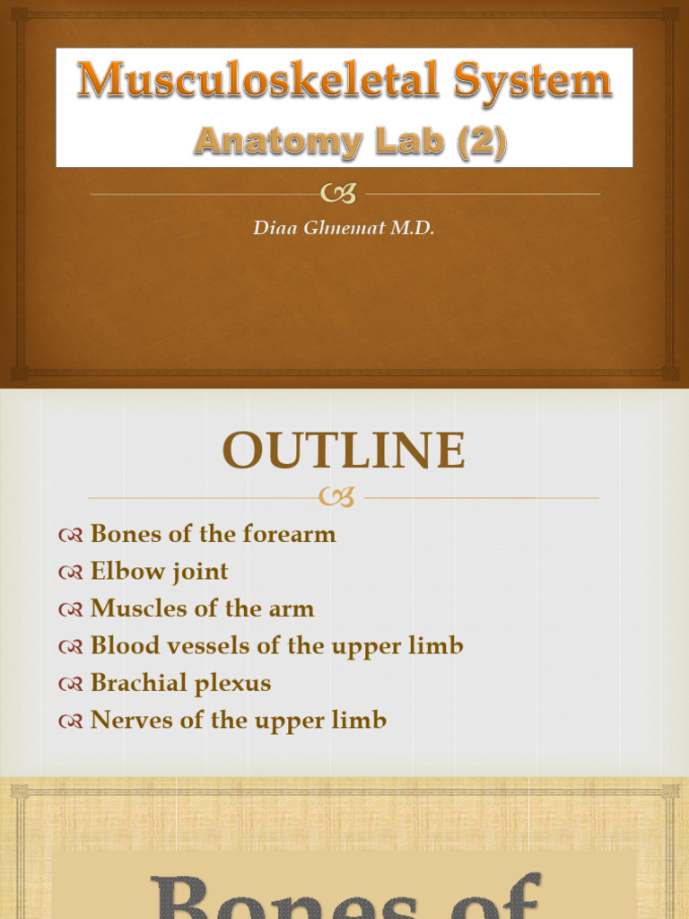 Musculoskeletal System - Lab (2) 2025 | PDF